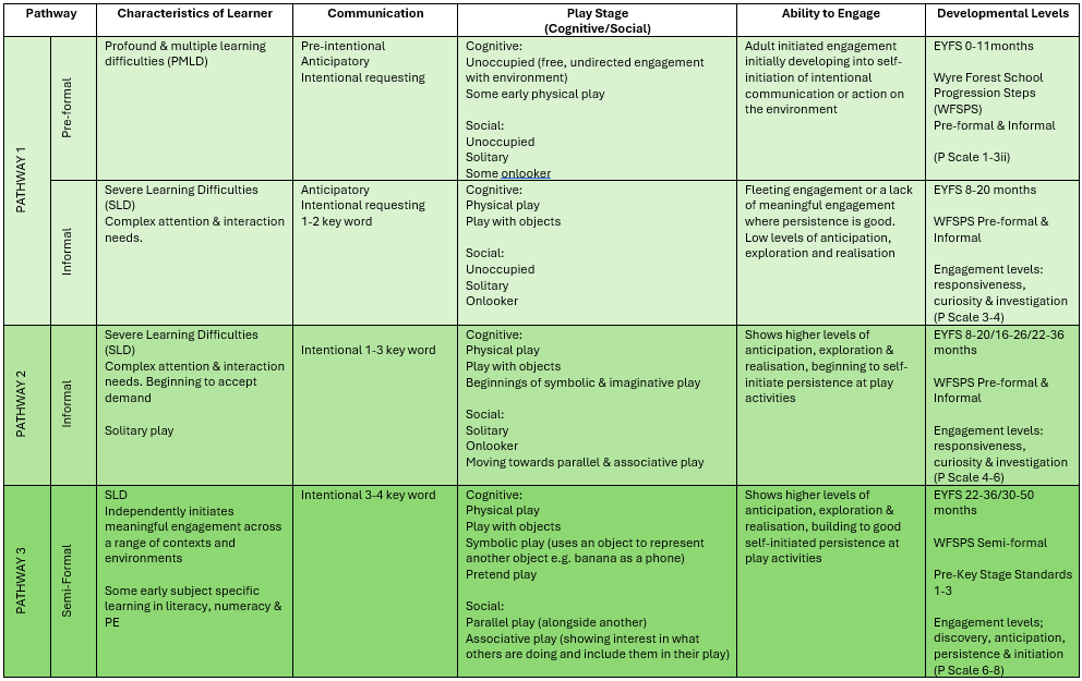 WFS Learner Characteristics WFS Learner Characteristics Chart